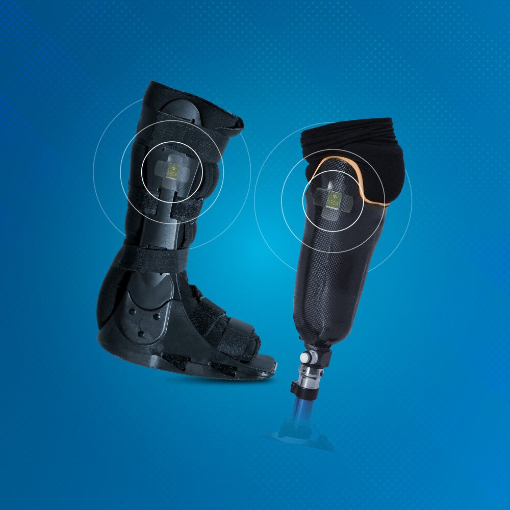 Amazon.co.jp: The Ortho Pelio Patient by : Toys & Games